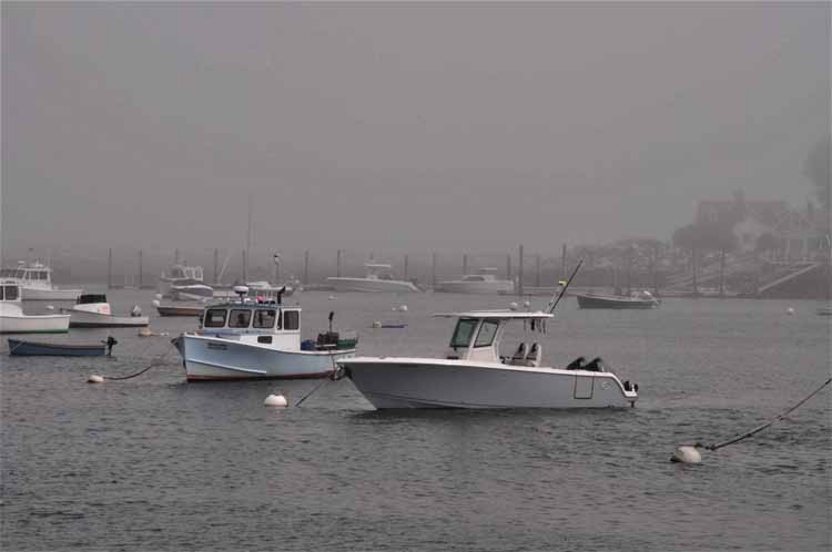 fog at rye harbor